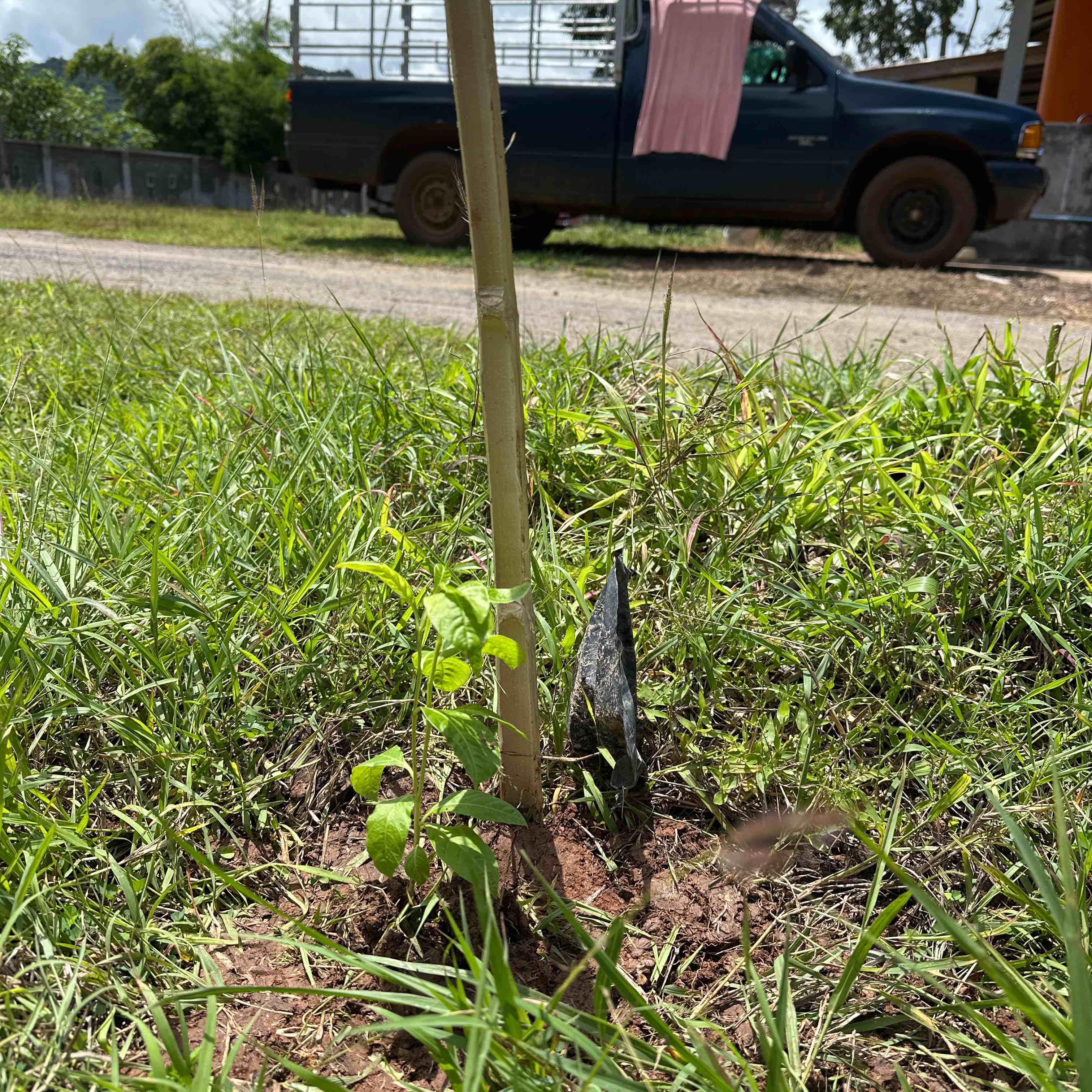 nexus-6.still002-100529777-orig