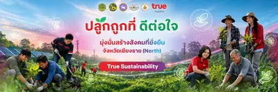 ทรูปลูกถูกที่ดีต่อใจ เชียงราย