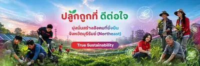 ปลูกถูกที่ดีต่อใจ บุรีรัมย์